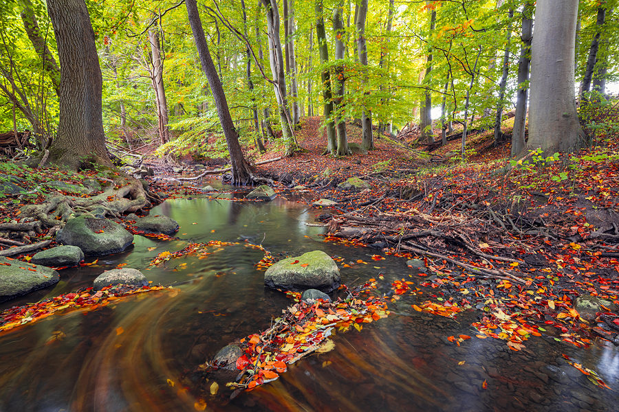Weitere Flusslandschaften